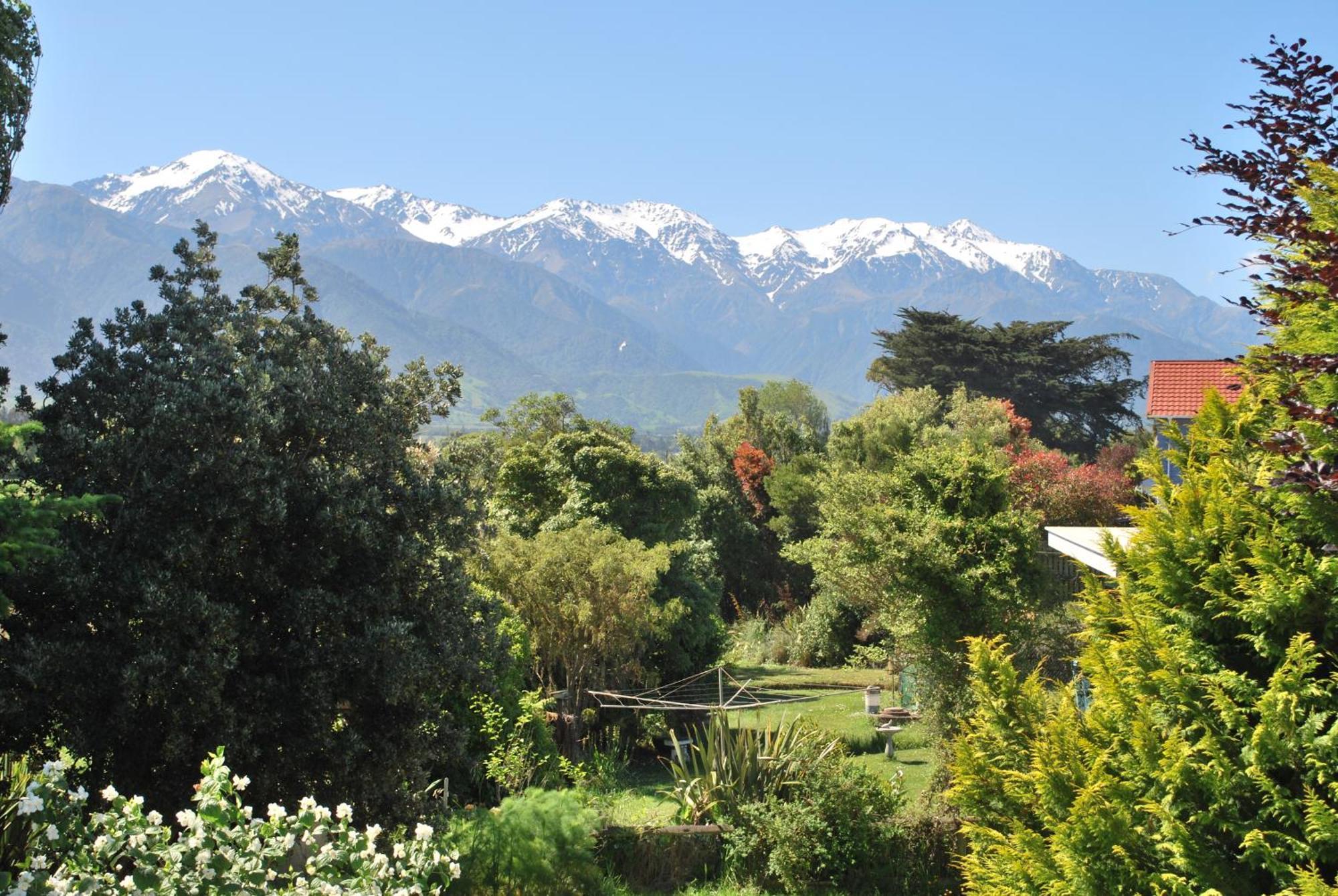 Brook House B&B & Cottages Kaikoura Exterior foto